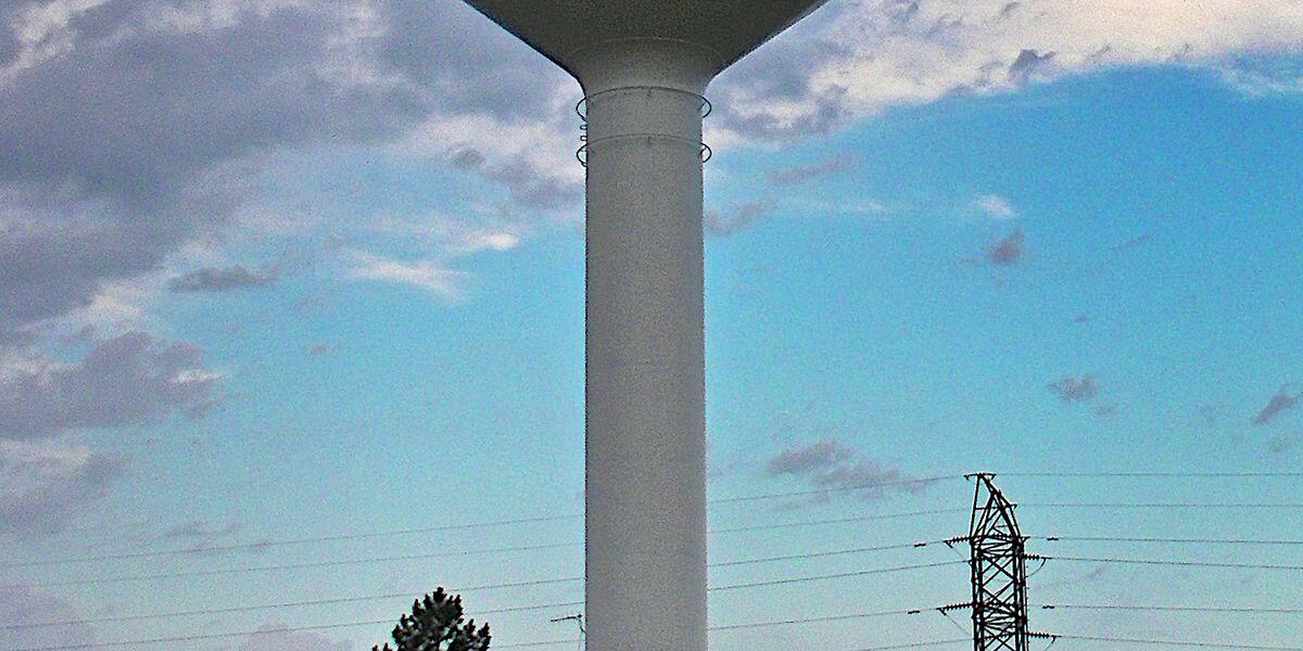 Salina