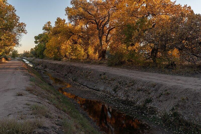 South Valley